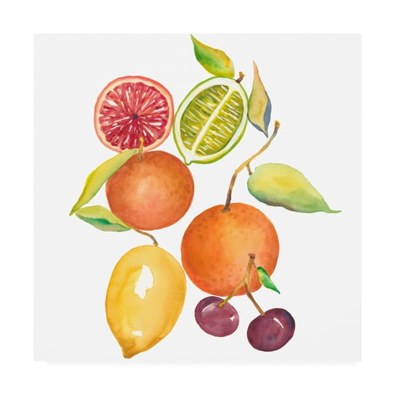 Trademark Fine Art 'Harvest Medley III' Canvas Art by Chariklia Zarris