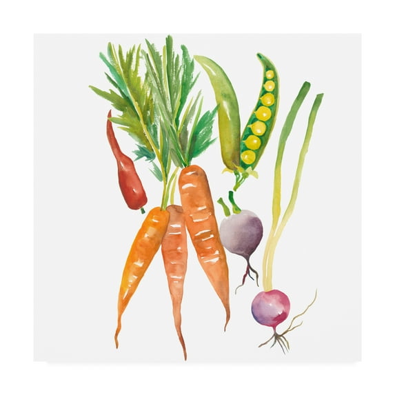 Trademark Fine Art 'Harvest Medley IV' Canvas Art by Chariklia Zarris