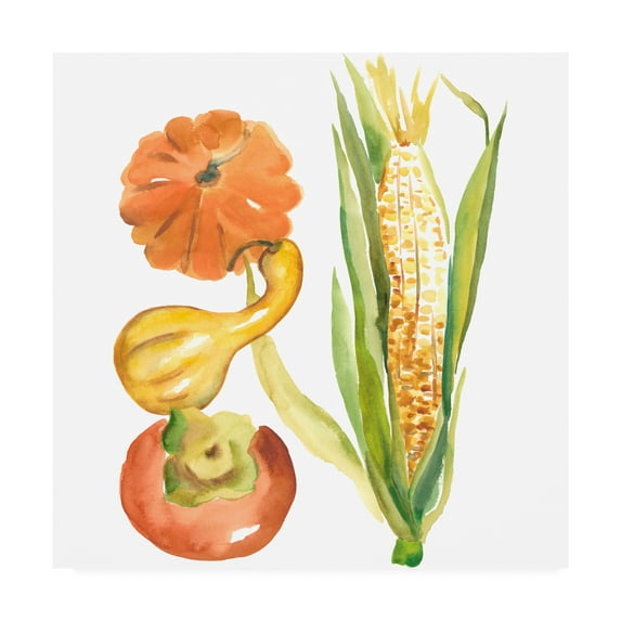 Trademark Fine Art 'Harvest Medley V' Canvas Art by Chariklia Zarris