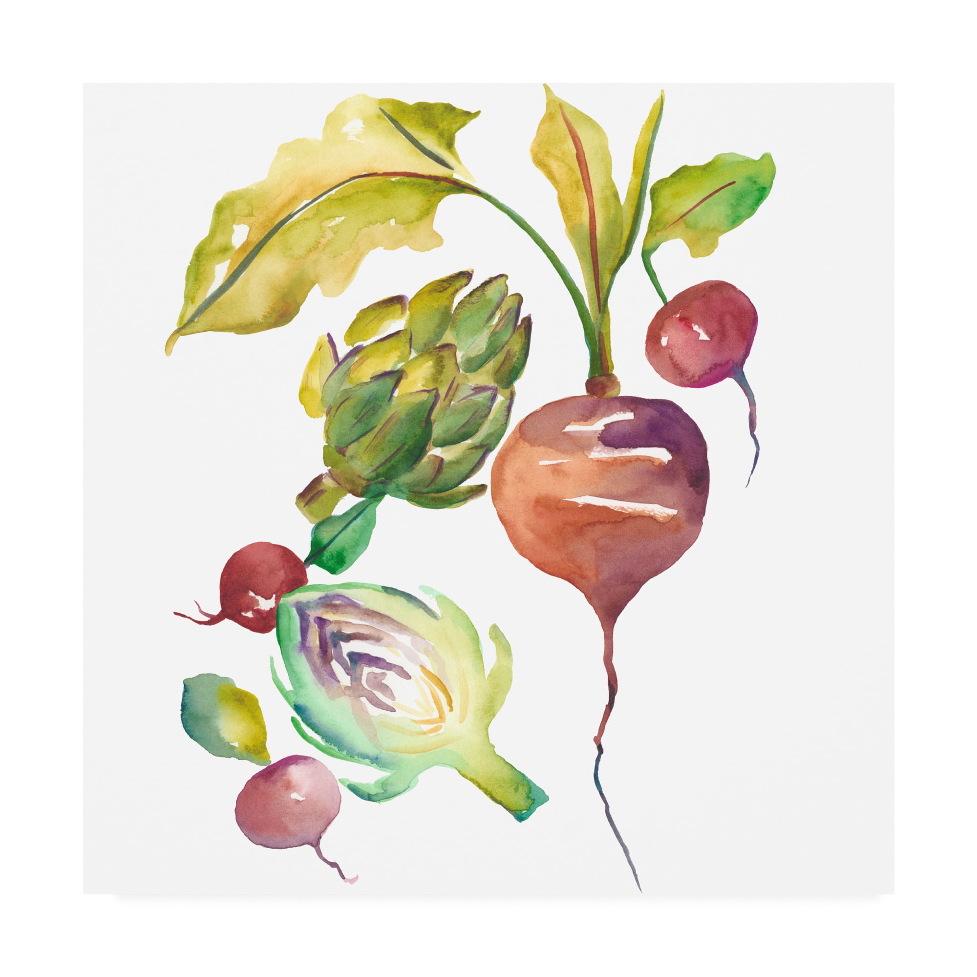 Trademark Fine Art 'Harvest Medley VI' Canvas Art by Chariklia Zarris