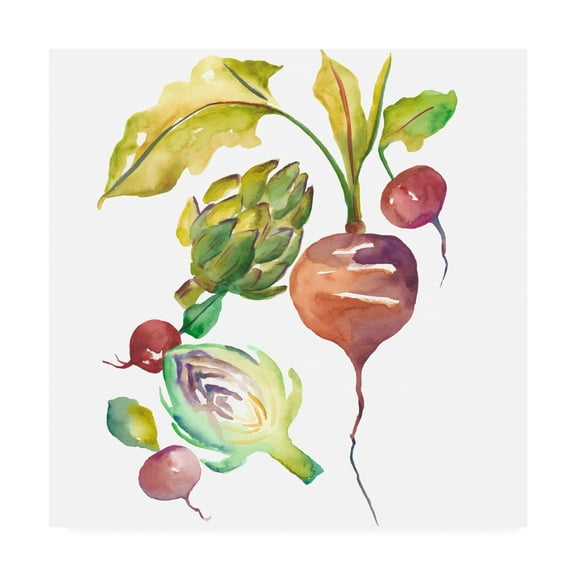Trademark Fine Art 'Harvest Medley VI' Canvas Art by Chariklia Zarris