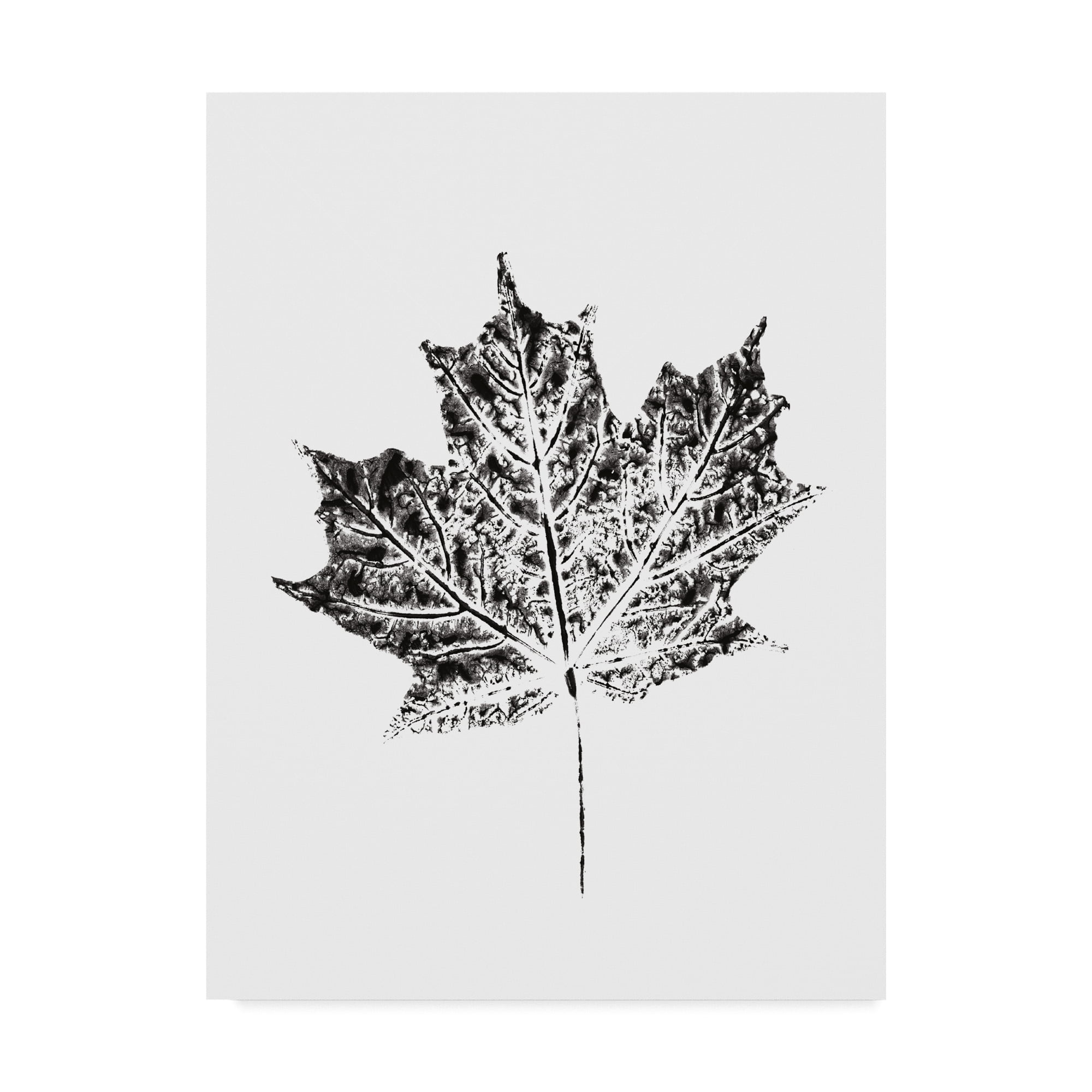 Trademark Fine Art 'Harvest Sentiments I BW no Words' Canvas Art by Moira Hershey