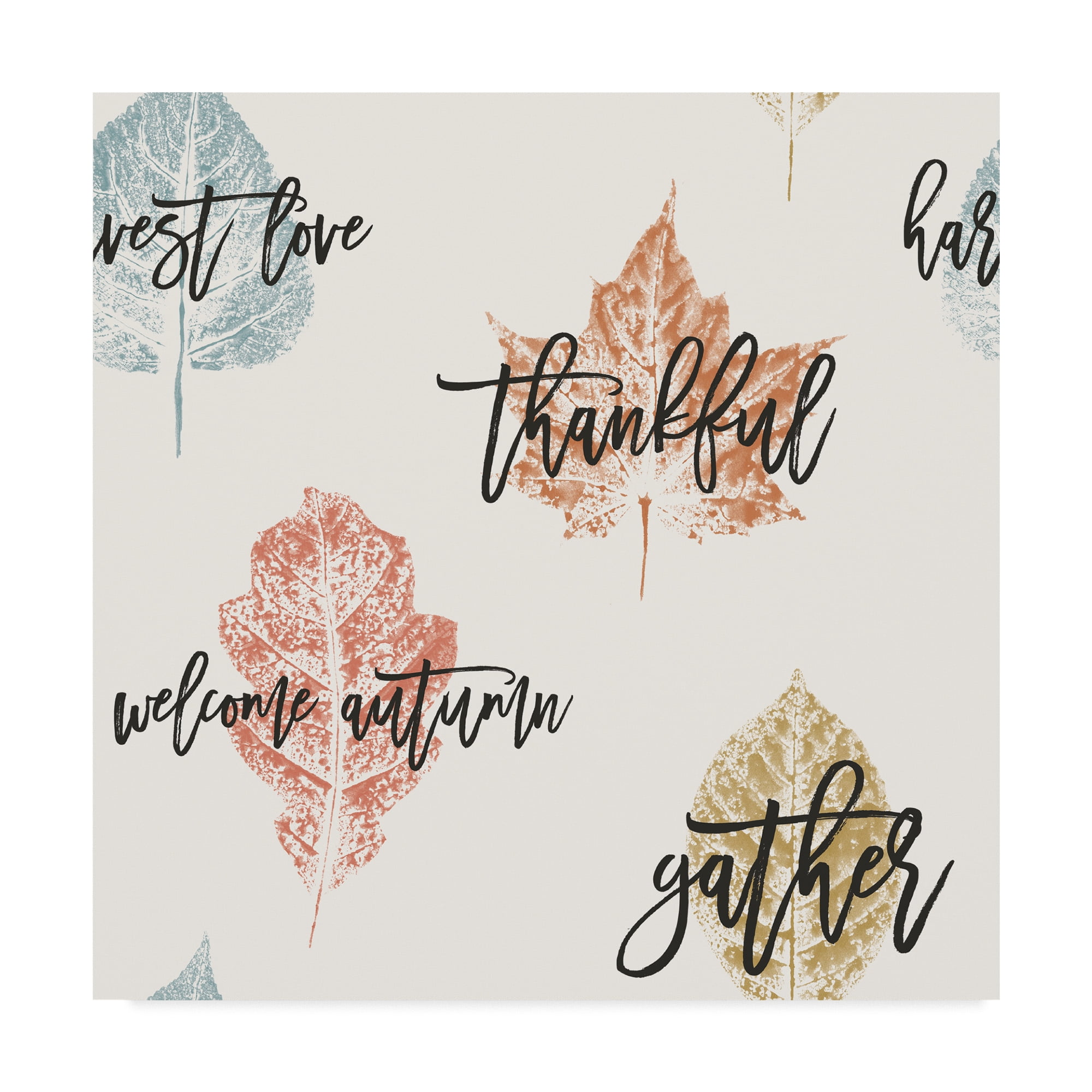 Trademark Fine Art 'Harvest Sentiments Pattern IV' Canvas Art by Moira Hershey