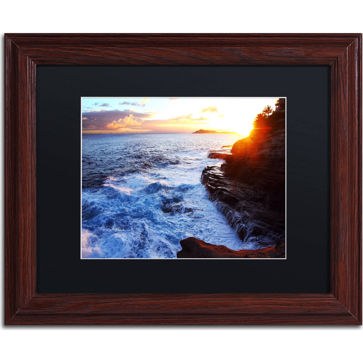 Trademark Fine Art "Hawaii 4" Canvas Art by Jason Shaffer, Black Matte, Wood Frame
