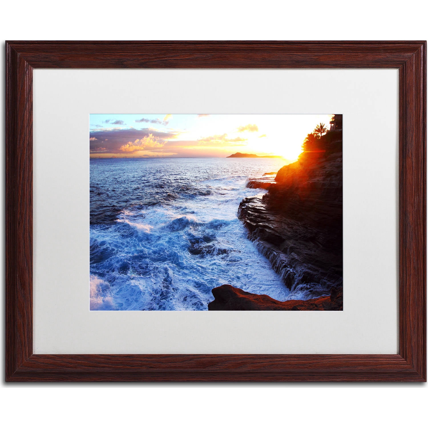 Trademark Fine Art "Hawaii 4" Canvas Art by Jason Shaffer, White Matte, Wood Frame