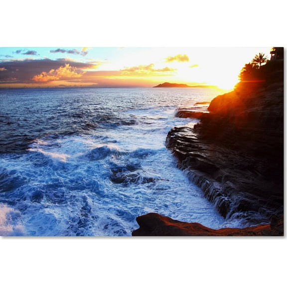 Trademark Fine Art "Hawaii 4" Canvas Art by Jason Shaffer