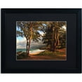 thumbnail image 1 of Trademark Fine Art "Hawaii 5" Canvas Art by Jason Shaffer, Black Matte, Black Frame, 1 of 1