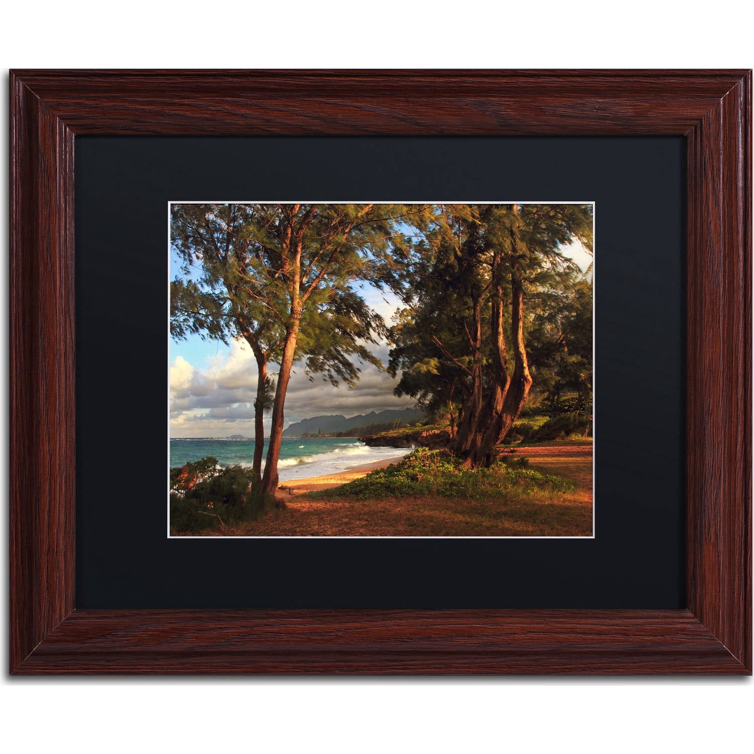 Trademark Fine Art "Hawaii 5" Canvas Art by Jason Shaffer, Black Matte, Wood Frame