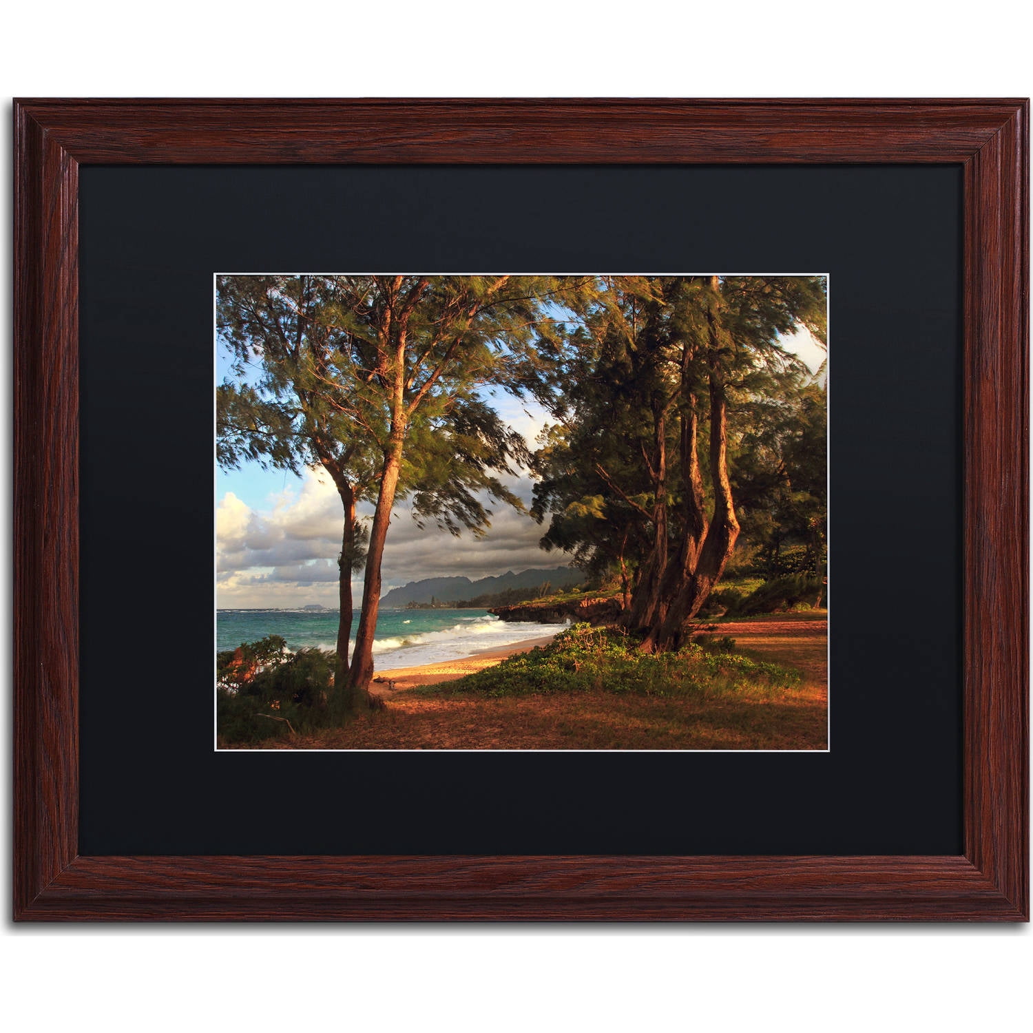 Trademark Fine Art "Hawaii 5" Canvas Art by Jason Shaffer, Black Matte, Wood Frame