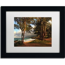 Trademark Fine Art "Hawaii 5" Canvas Art by Jason Shaffer, White Matte, Black Frame