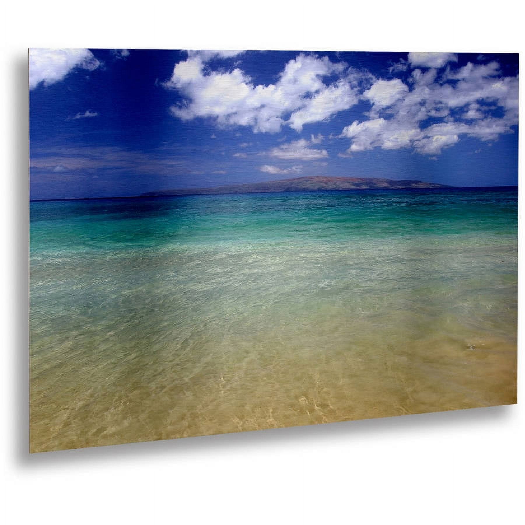 Trademark Fine Art "Hawaii Blue Beach" Brushed Aluminum Wall Art Art by Pierre Leclerc 16x22