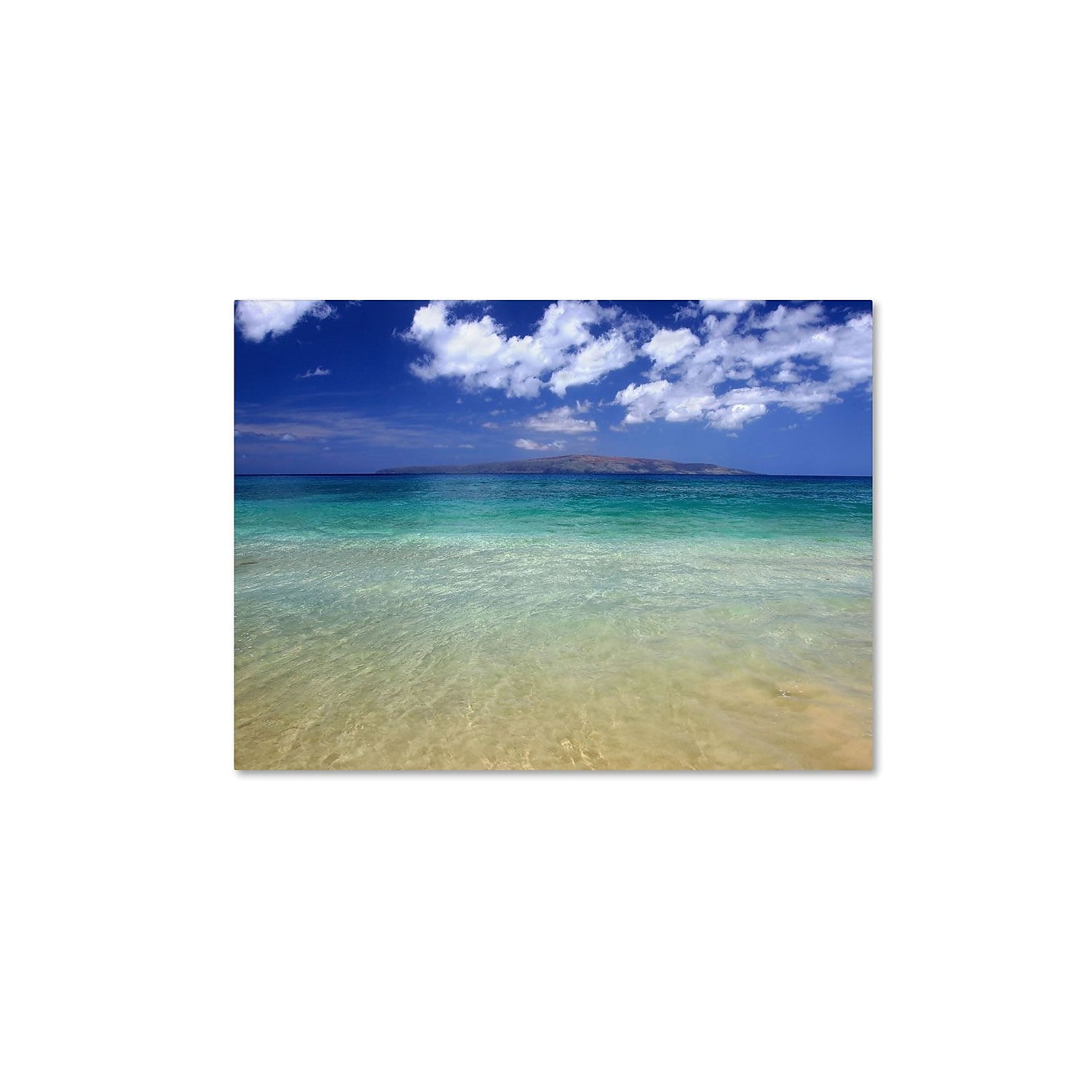 Trademark Fine Art "Hawaii Blue Beach" Canvas Art by Pierre Leclerc