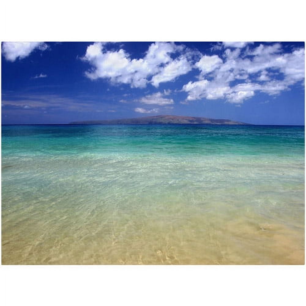 Hawaii Blue Beach Landscape Canvas Art with Wood Frame