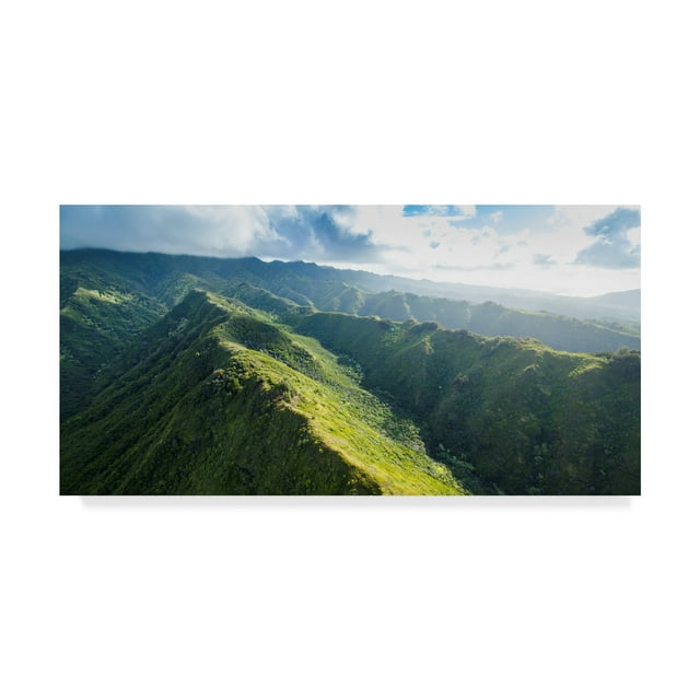 Trademark Fine Art 'Hawaii Loa Ridge' Canvas Art by Cameron Brooks