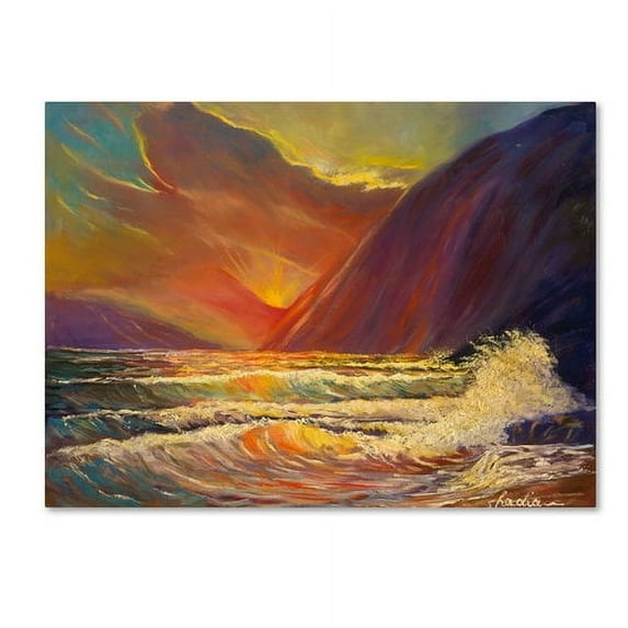 Trademark Fine Art 'Hawaiian Coastal Sunset' Canvas Art by Manor Shadian