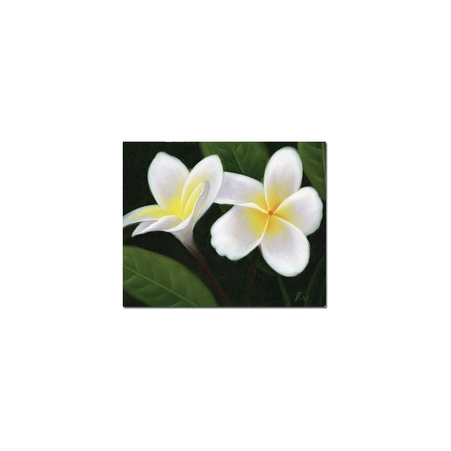 Trademark Fine Art "Hawaiian Lei Flowers" Canvas Art