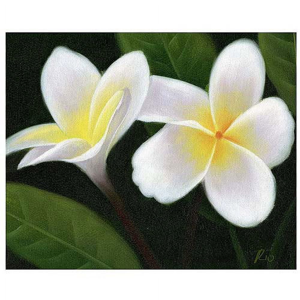 Hawaiian Lei Flowers Canvas Art in White and Green