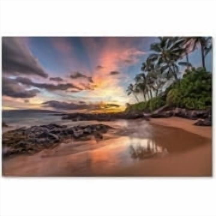 Trademark Fine Art 'Hawaiian Sunset Wonder' Canvas Art by Pierre Leclerc