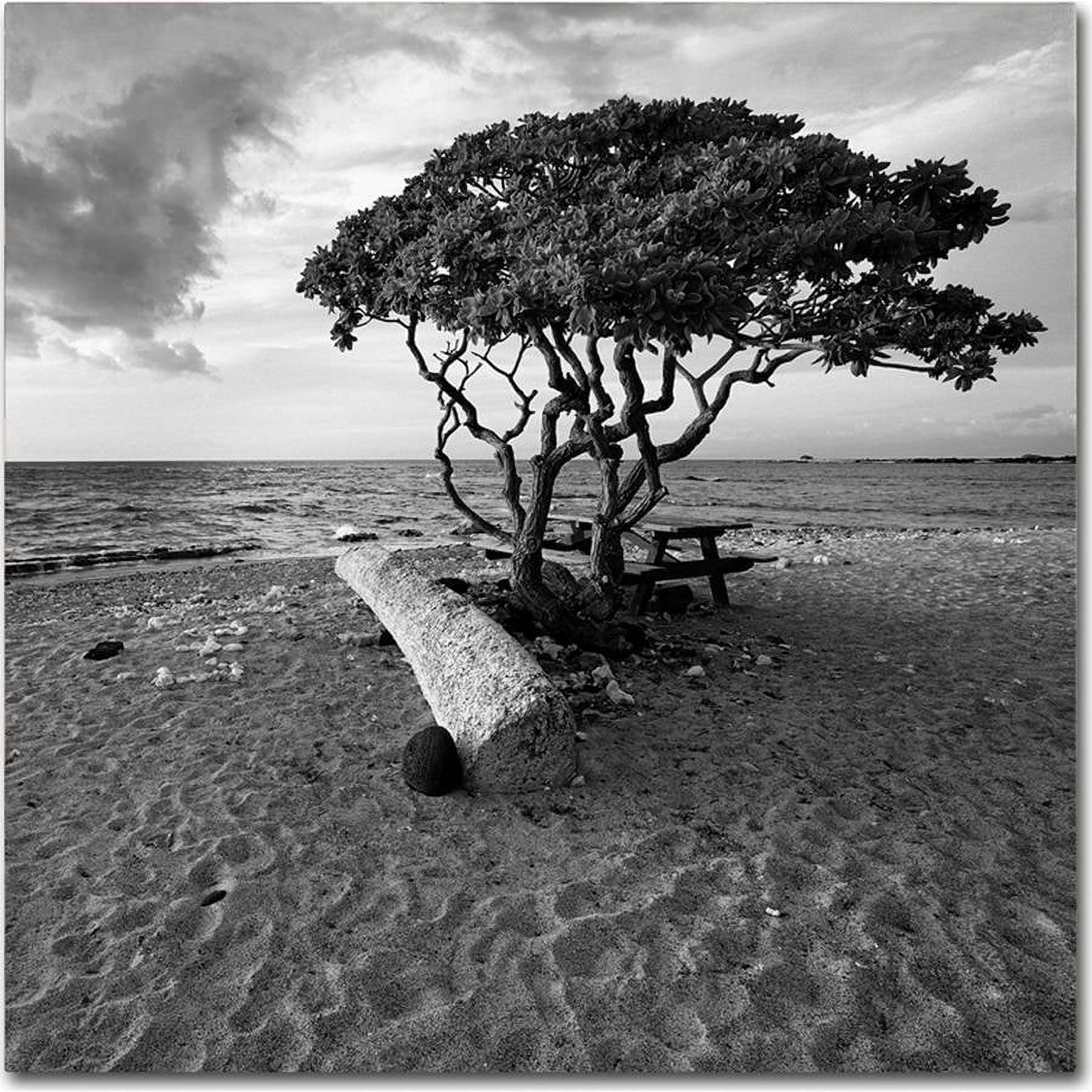 Black and White Hawaiian Tree Landscape Canvas Art