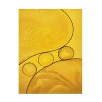 Trademark Fine Art Hazem Swidan Untitled Canvas Wall Art