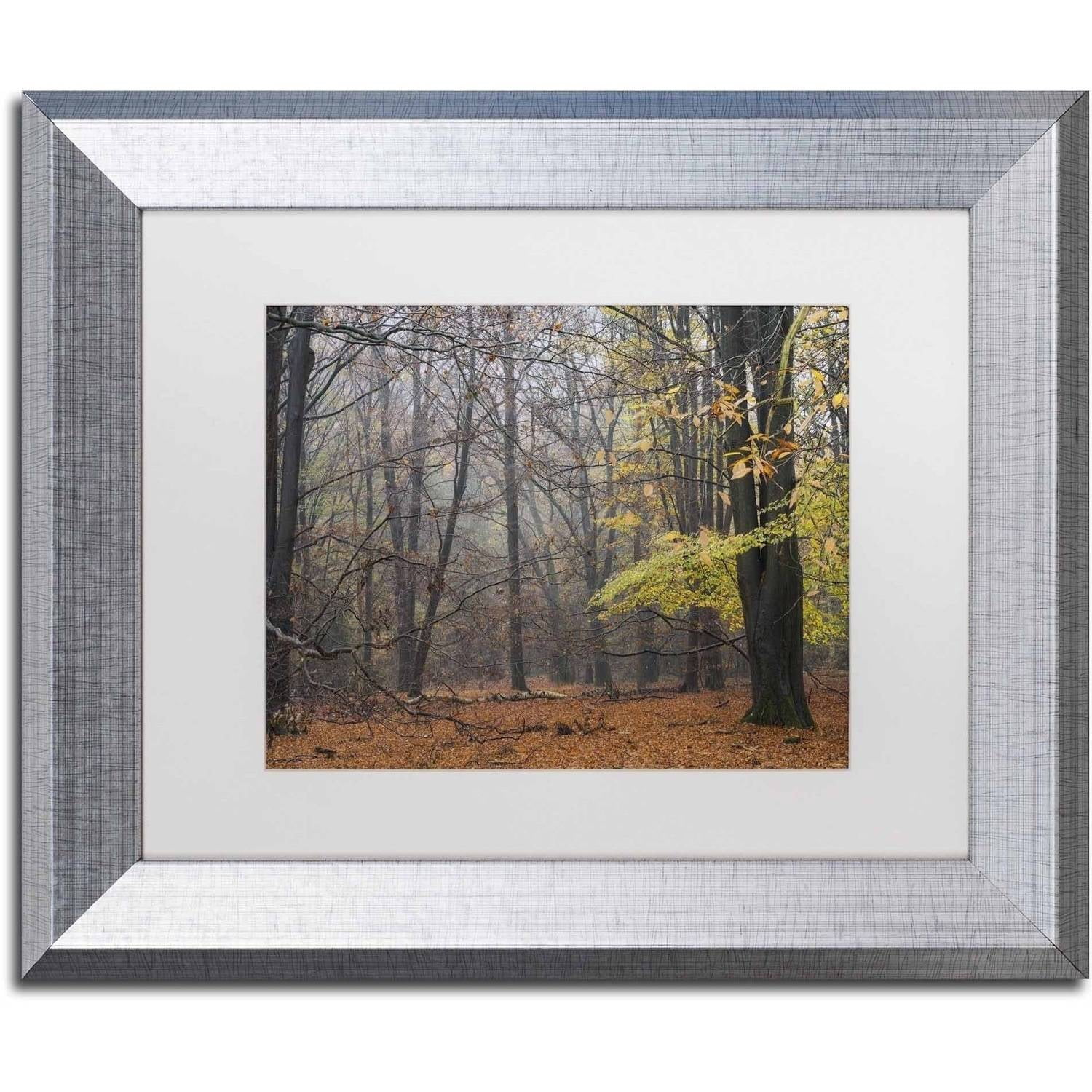 Trademark Fine Art 'Hazy Wood' Canvas Art by Cora Niele, White Matte, Silver Frame