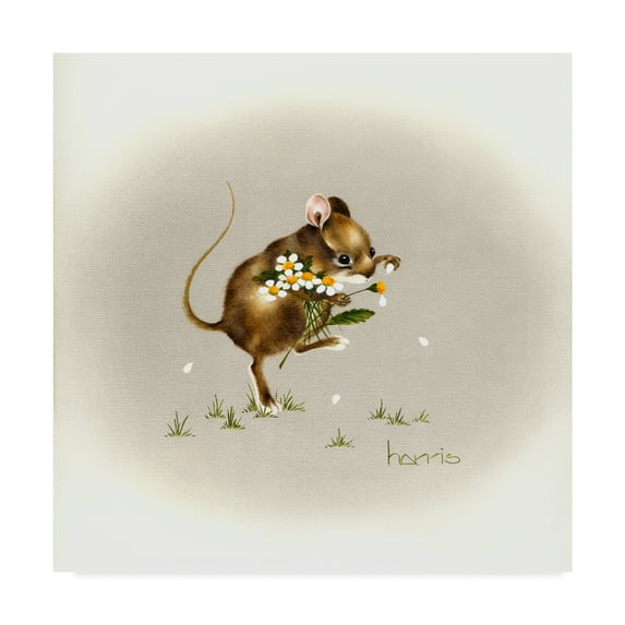 Trademark Fine Art 'He Loves Me Mouse' Canvas Art by Peggy Harris