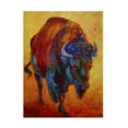 thumbnail image 1 of Trademark Fine Art Marion Rose Head On Canvas Wall Art - 18x24, 1 of 5