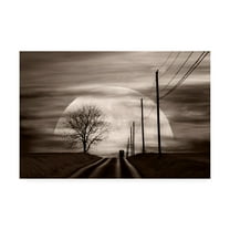 Trademark Fine Art 'Heading Home Moon' Canvas Art by Monte Nagler