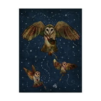 Trademark Fine Art 'Healers Of Light' Canvas Art by Francesca Rizzato Art