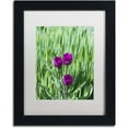 thumbnail image 1 of Trademark Fine Art "Healing Tulips" Canvas Art by Kurt Shaffer, White Matte, Black Frame, 1 of 4