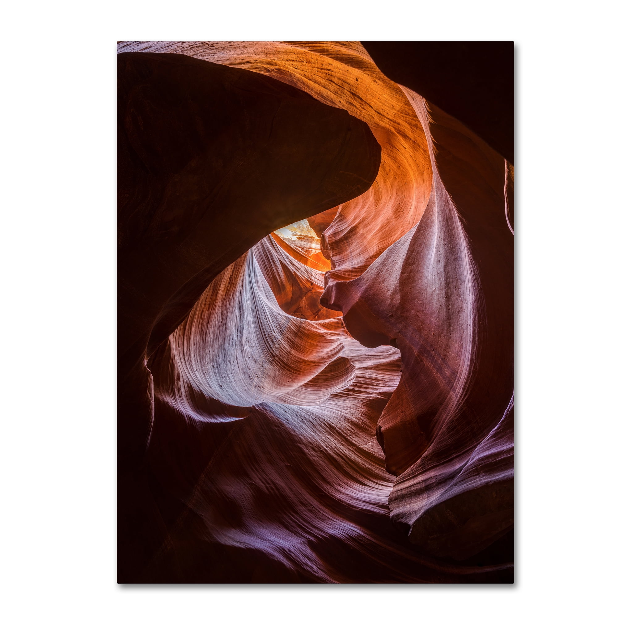 Trademark Fine Art 'Heart Of Fire' Canvas Art by Sandipan Biswas