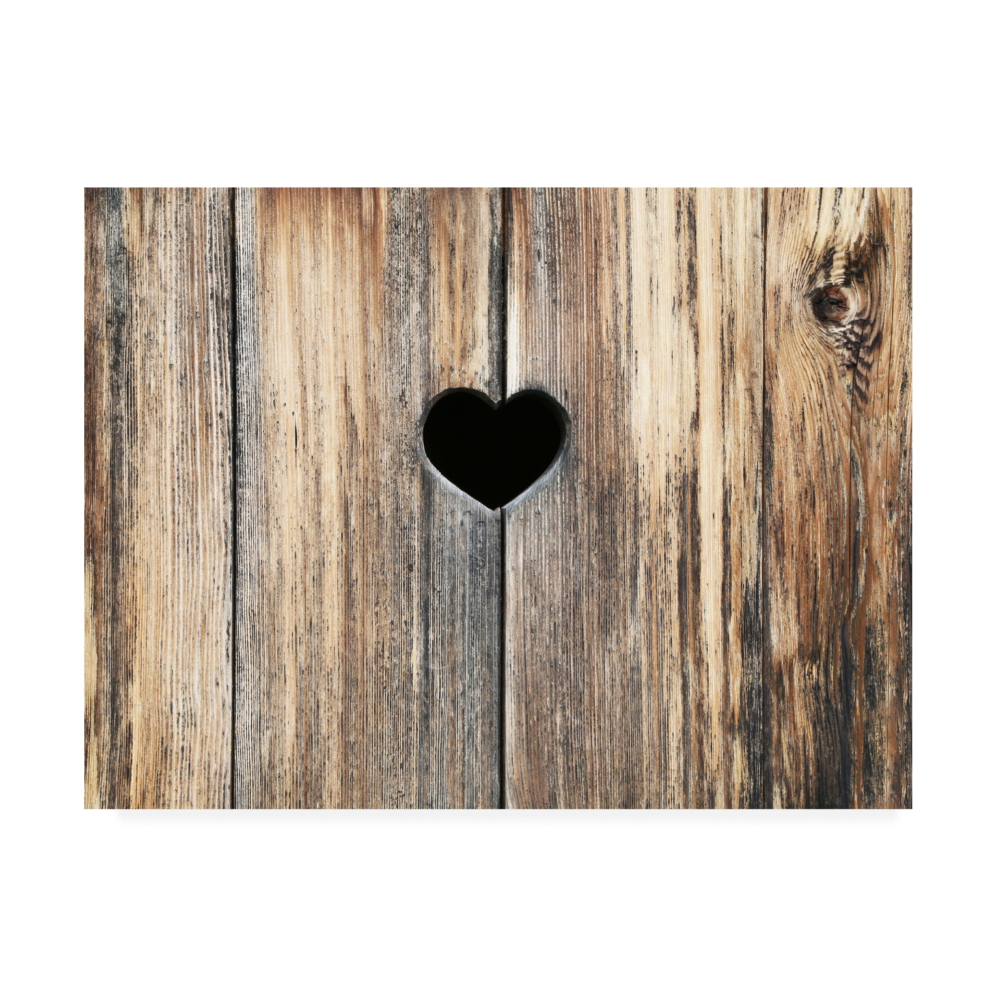 Trademark Fine Art 'Heart in Wood' Canvas Art by Brooke T. Ryan