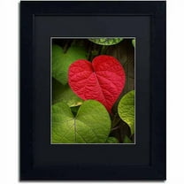 Trademark Fine Art "Heart to Take" Canvas Art by Philippe Sainte-Laudy, Black Matte, Black Frame