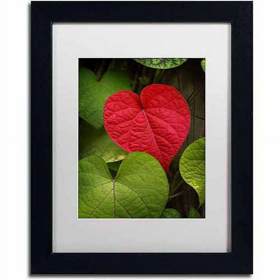 Trademark Fine Art "Heart to Take" Canvas Art by Philippe Sainte-Laudy, White Matte, Black Frame
