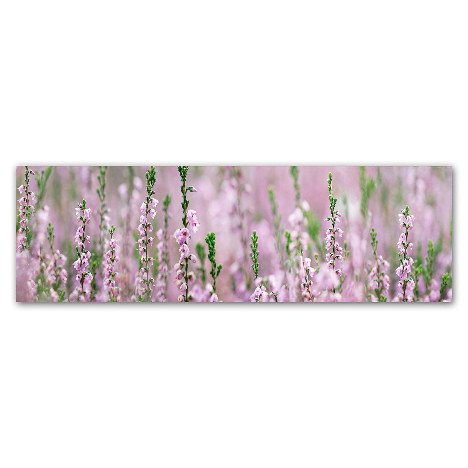 Lavender Heather Scape Abstract Canvas Art, 15x20