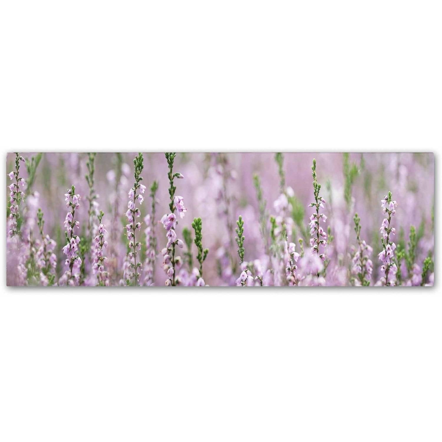 Trademark Fine Art 'Heather Scape' Canvas Art by Cora Niele