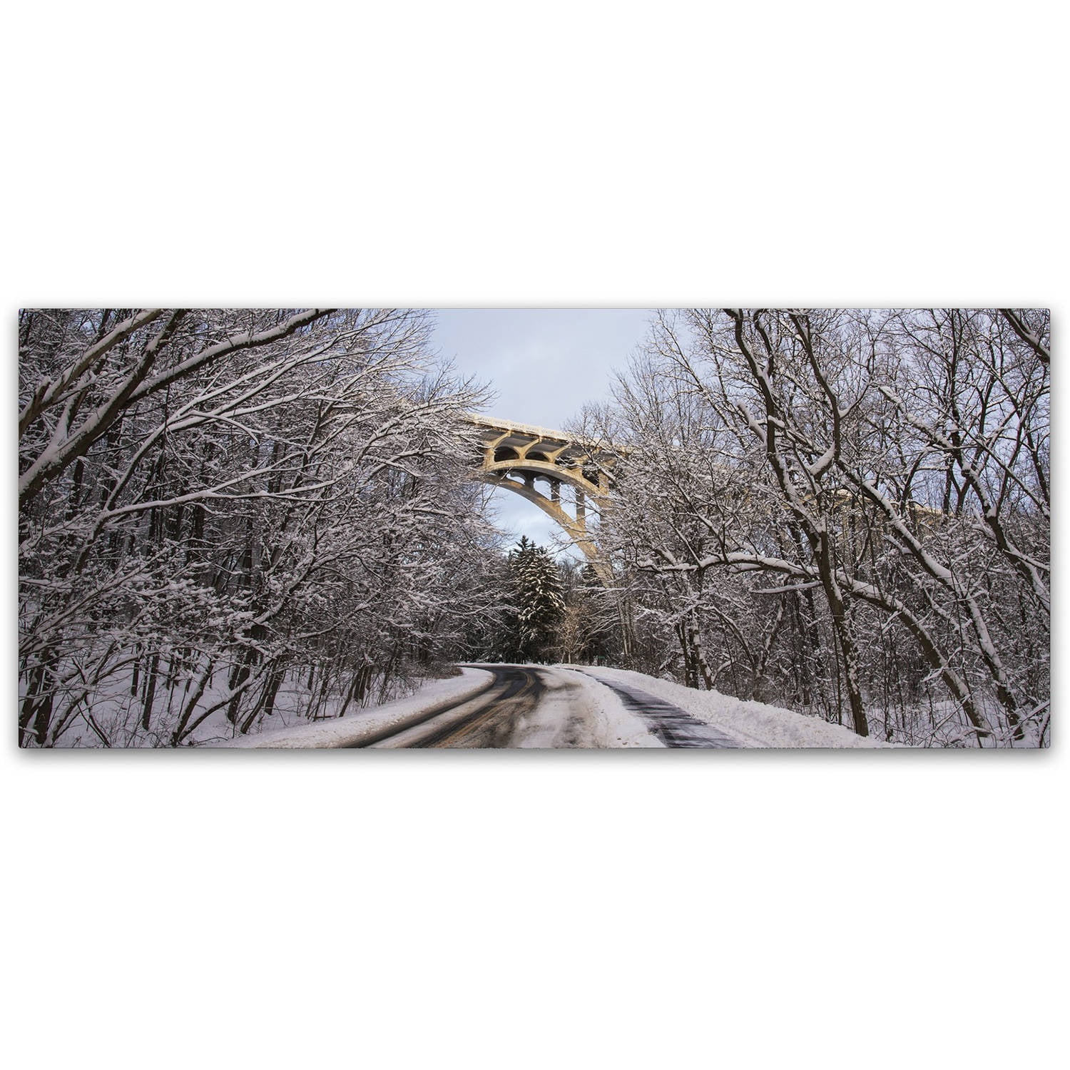 Trademark Fine Art "Heavy Snowfall Along the Parkway 2" Canvas Art by Kurt Shaffer