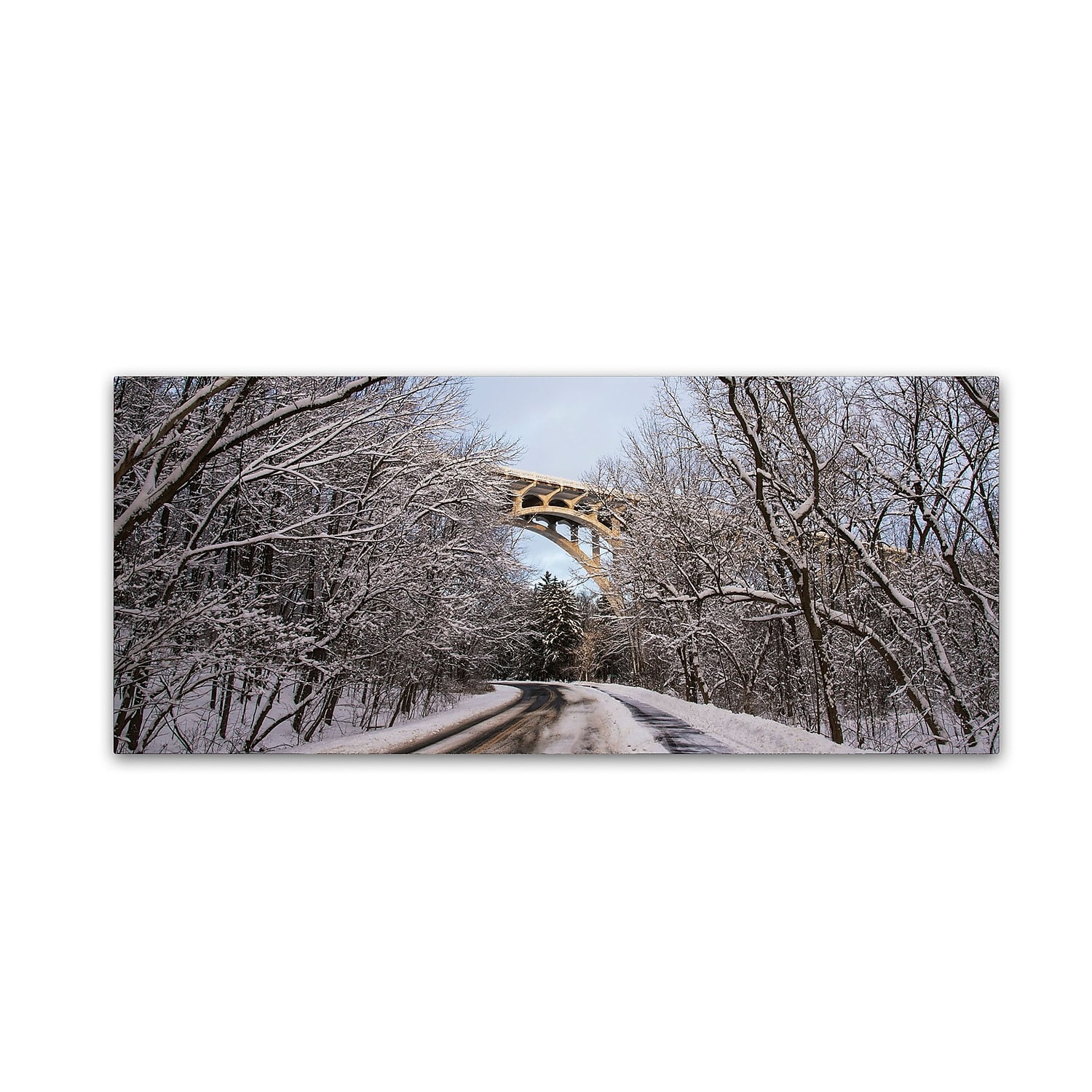Trademark Fine Art "Heavy Snowfall Along the Parkway 2" Canvas Art by Kurt Shaffer