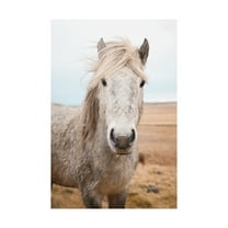 Trademark Fine Art 'Heida I' Canvas Art by Laura Marshall