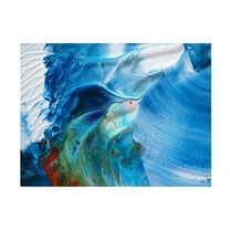 Trademark Fine Art Heidi Westum  Flying into the waves Canvas Wall Art