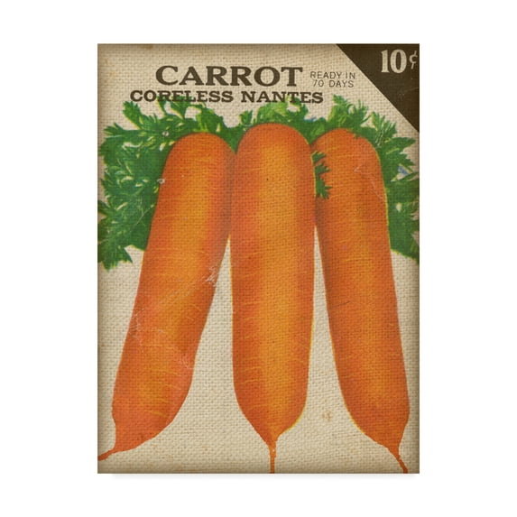 Trademark Fine Art 'Heirloom Variety II' Canvas Art by Jarman Fagalde