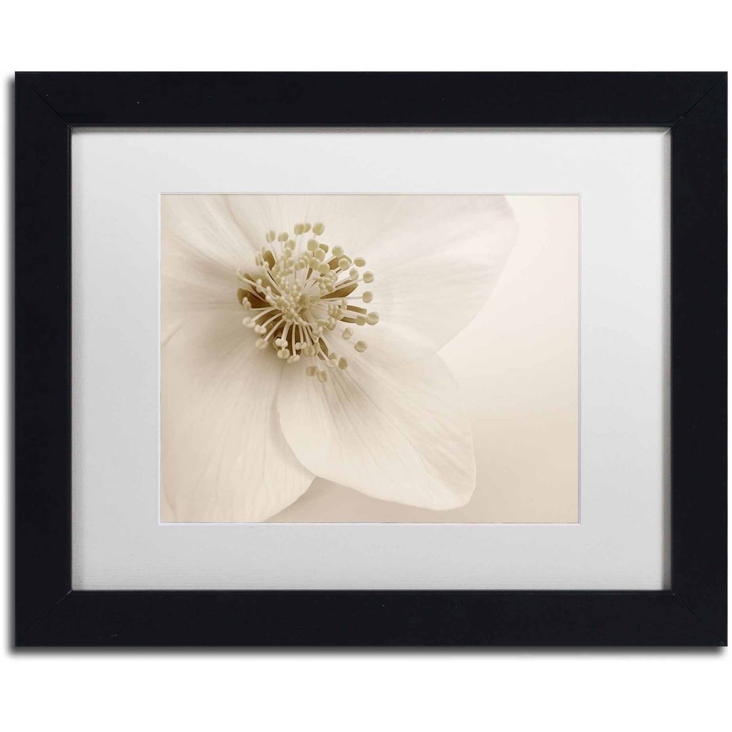 Trademark Fine Art 'Hellebore Christmas Rose' Canvas Art by Cora Niele, White Matte, Black Frame