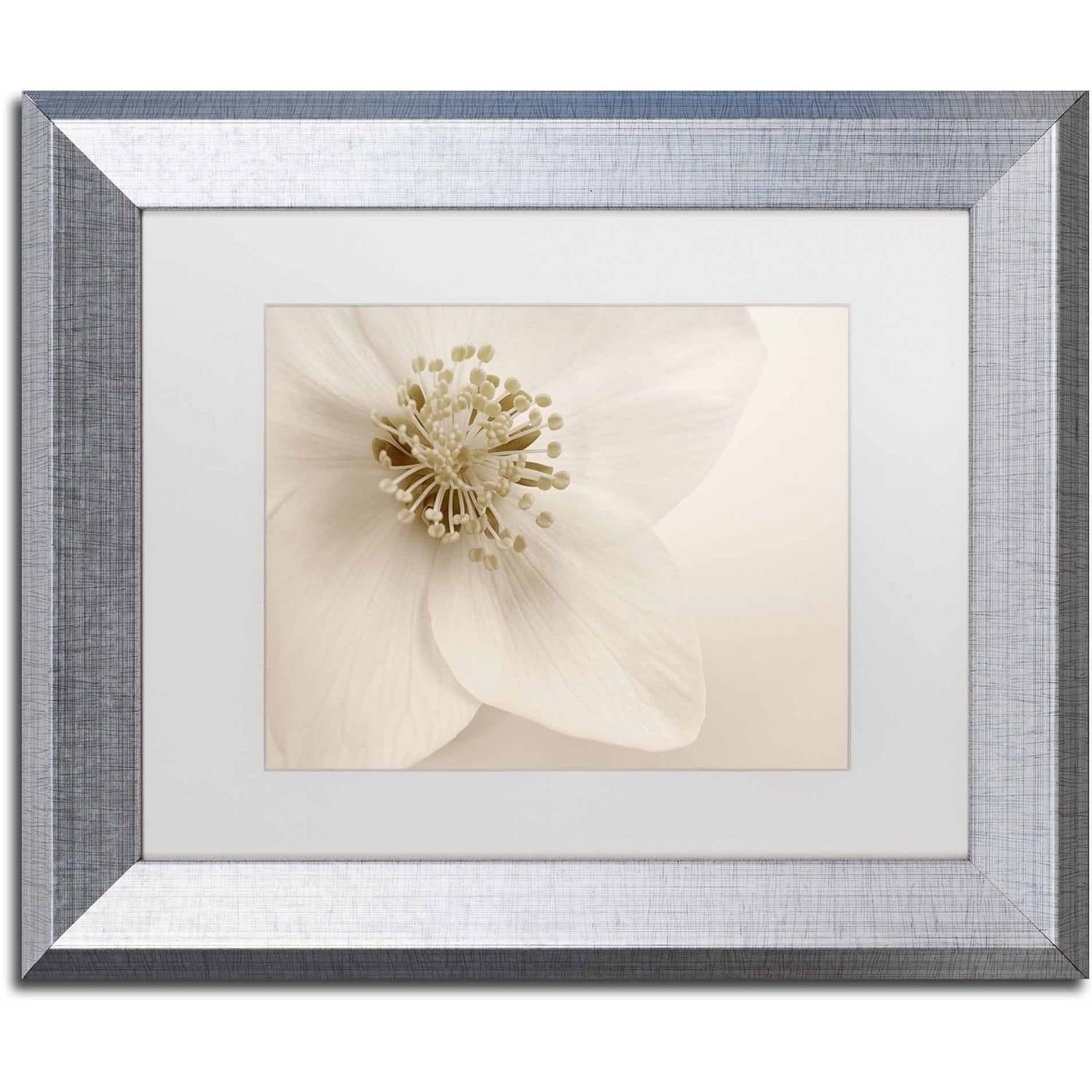 Trademark Fine Art 'Hellebore Christmas Rose' Canvas Art by Cora Niele, White Matte, Silver Frame