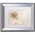 thumbnail image 1 of Trademark Fine Art 'Hellebore Christmas Rose' Canvas Art by Cora Niele, White Matte, Silver Frame, 1 of 1