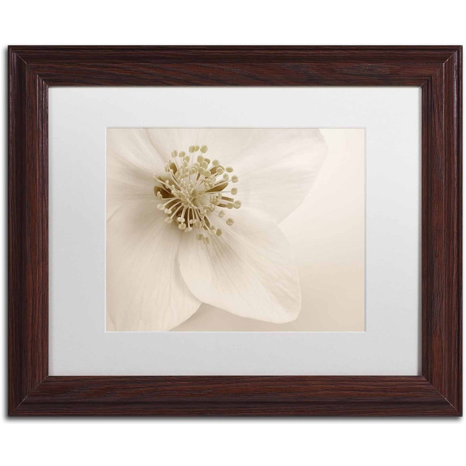 Trademark Fine Art 'Hellebore Christmas Rose' Canvas Art by Cora Niele, White Matte, Wood Frame