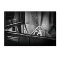 thumbnail image 1 of Trademark Fine Art 'Hello' Canvas Art by Fernando Jorge Gonçalves, 1 of 3