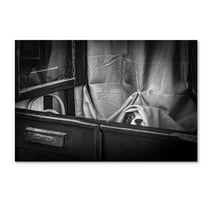 Trademark Fine Art 'Hello' Canvas Art by Fernando Jorge GonÃ§alves