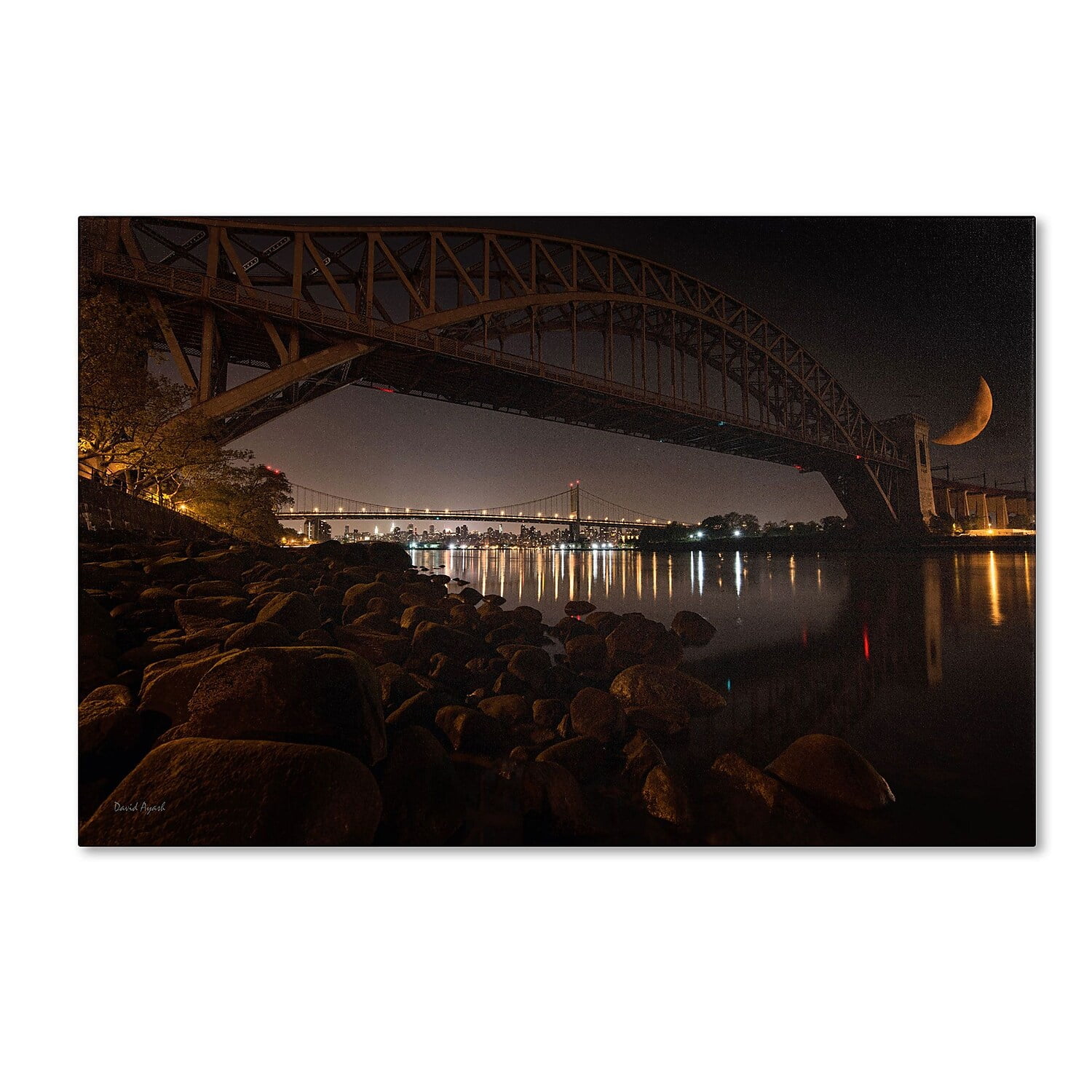 Trademark Fine Art "Hells Gate and RFK Bridge - NYC" Canvas Art by David Ayash