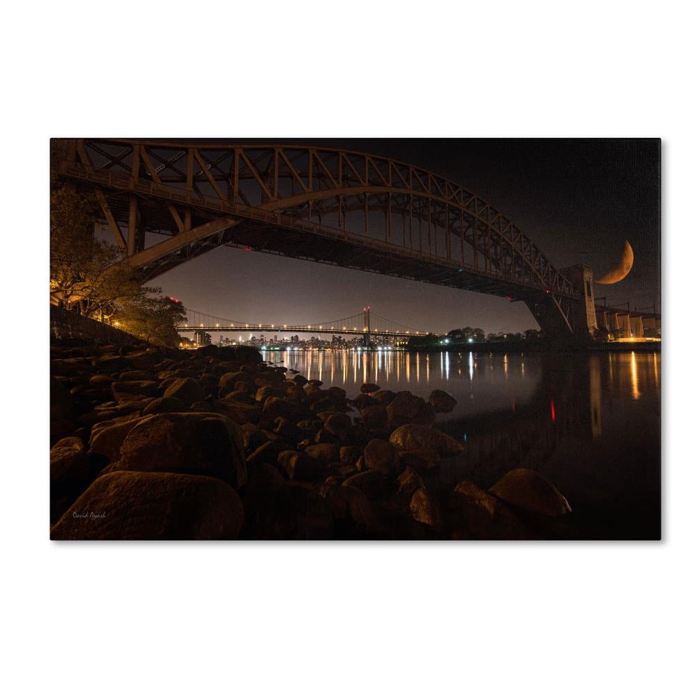 Trademark Fine Art "Hells Gate and RFK Bridge - NYC" Canvas Art by David Ayash