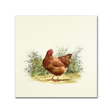 Trademark Fine Art 'Hen' Canvas Art by The Macneil Studio